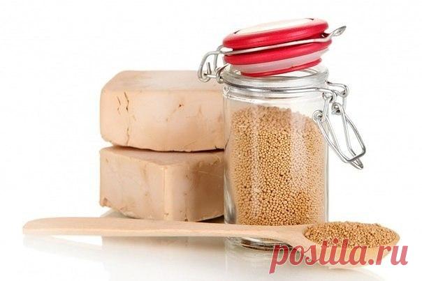 Архивы Дача - Путь к истинной себе