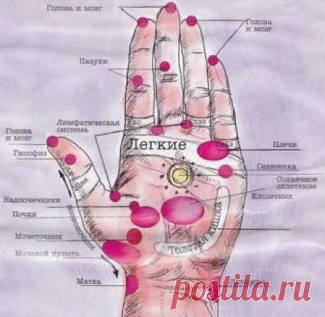 8 секретных акупунктурных точек