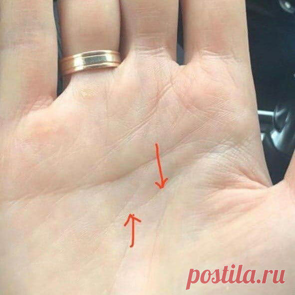 Линия головы | ЭРЕБУС. Цифровая психология. | Яндекс Дзен