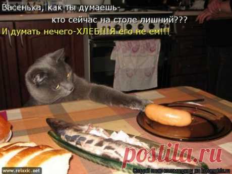 Кто лишний?