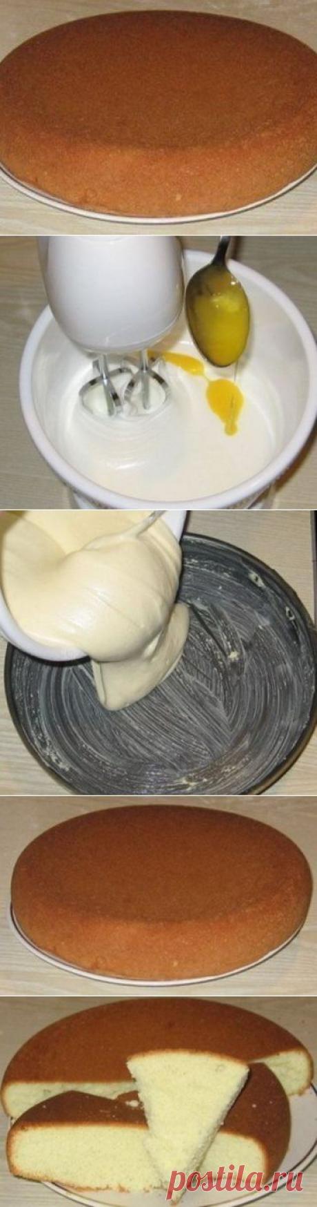 классический бисквит