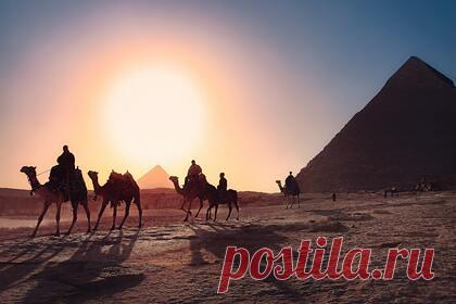 Россиянка оценила опасность поездки в Египет для одинокой девушки. Российская туристка побывала в Египте и рассказала, насколько опасной может быть поездка в страну для одинокой девушки. По словам автора, в Египте особое отношение к женщинам из России. Так, одиноким туристкам продавцы часто делают скидки на рынках или угощают их фруктами и ягодами.