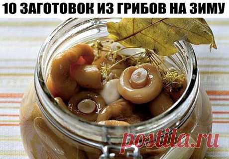 10 ЗАГОТОВОК ИЗ ГРИБОВ НА ЗИМУ

1. Засолка грибов - холодный способ.

грибы (рыжики, черные и белые грузди, волнушки, сыроежки) - 1 кг
соль - 100 г
смородина - 10–12 листьев
вишня - 5–6 листиков
хрен - 2 листа
укроп - 2 зонтика
лавровый лист - 2–3 шт.
перец горошком - по вкусу
чеснок - по вкусу

Грузди, волнушки или сыроежки вымыть и залить холодной водой на 5–6 ч. (Рыжики не вымачивают, а только промывают). На дно деревянной или керамической посуды насыпать слой соли, пол...