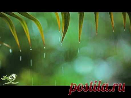 Relaxing Piano Music & Rain Sounds 24/7