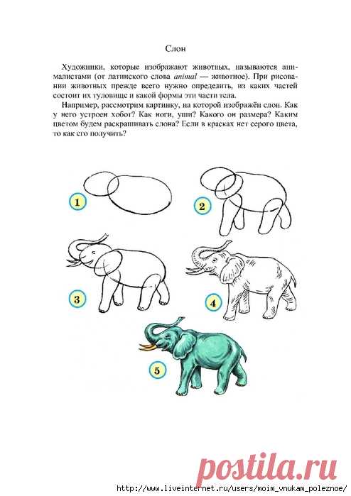 Рисуем животных, птиц, насекомых, рыб поэтапно