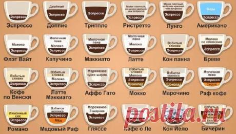 Сорта и разновидности кофе: все о любимом напитке Кофе и все о нем!