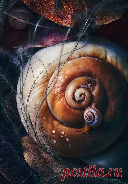 Фото дня. Ещё один завиток.