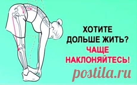Чем мы чаще наклоняемся, тем дольше живем, а чем чаще приседаем — тем лучше выглядим.