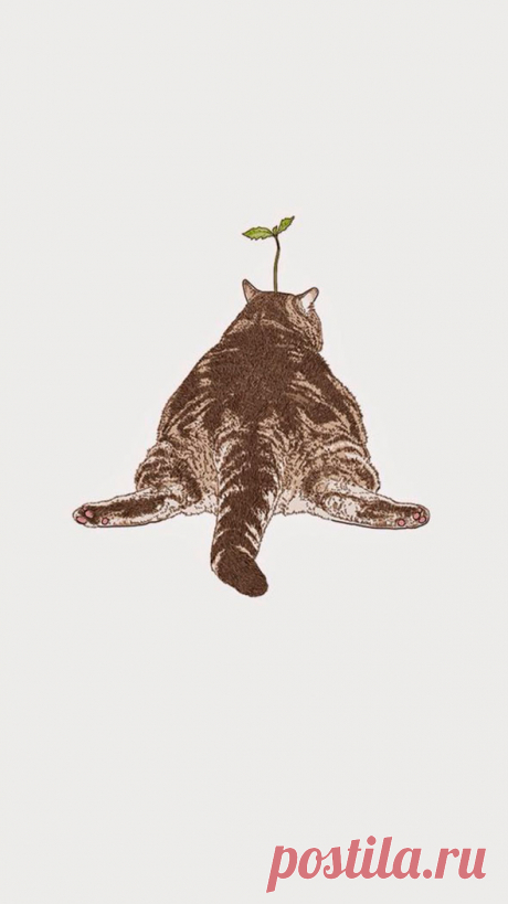 Самые милые нарисованные котики