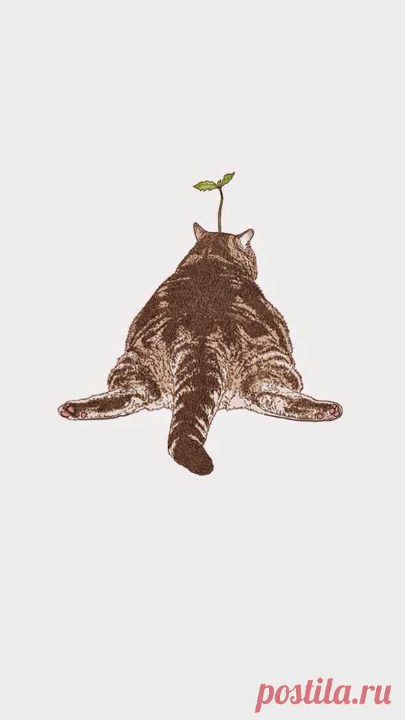 Самые милые нарисованные котики