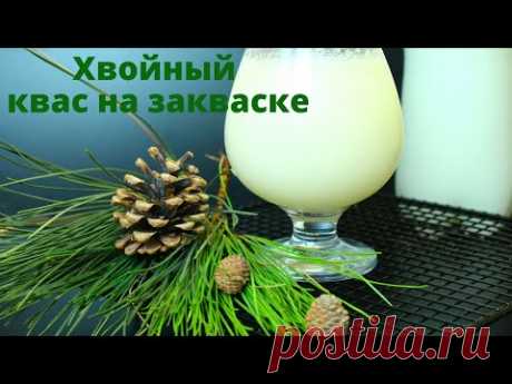 ХВОЙНЫЙ КВАС НА ЗАКВАСКЕ ✧ Как ДЖИН с тоником ✧ СИЛЬНО ГАЗИРОВАННЫЙ ✧ Пошаговый рецепт
