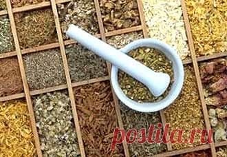 Лечебные травы по знаку зодиака