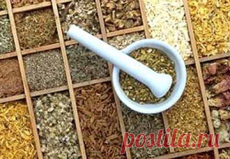 Лечебные травы по знаку зодиака