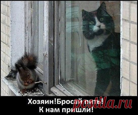 Предупреждение!