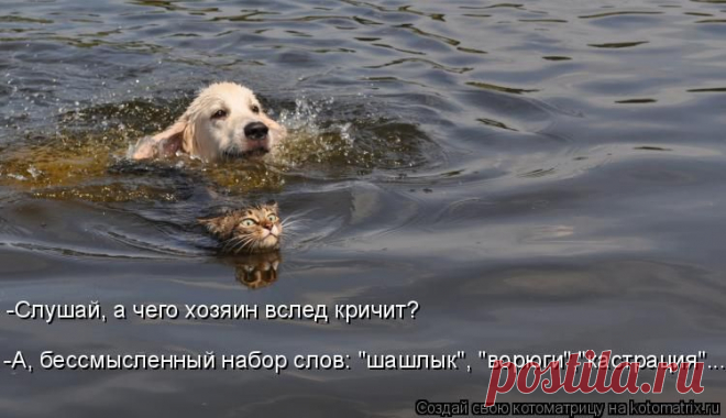 Котоматрица: Лучшие за июль 2015