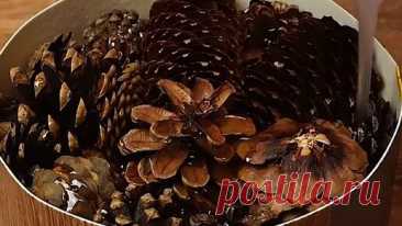 Сосновые шишки + прозрачная смола = завораживает | Мастерская Бруно | Дзен