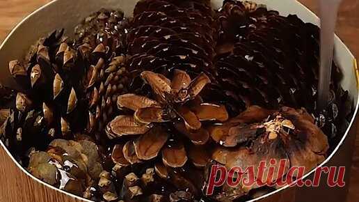 Сосновые шишки + прозрачная смола = завораживает | Мастерская Бруно | Дзен