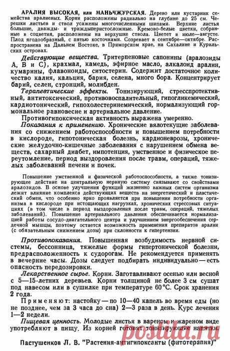 Аралия высокая или маньчжурская
