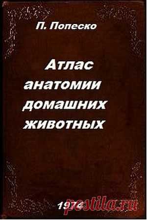 Атлас анатомии домашних животных в 3 томах / Пётр Попеско (DjVu) В учебном пособии «Атлас анатомии домашних животных» представлены рисунки, на которых отображено анатомическое строение тела животного, топографическое расположение органов. Книга «Атлас анатомии домашних животных» будет полезна студентам-ветеринарам а также преподавателям, поскольку атлас в