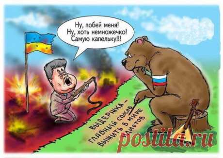 (3) Одноклассники