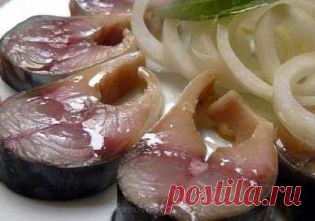 Как засолить скумбрию вкусно и быстро. 11 рецептов с фото | Народные знания от Кравченко Анатолия