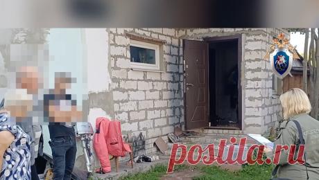 Россиянка натравила алабая на соседа, пес прокусил мужчине шею. СК Нижегородской области возбудил уголовное дело в отношении местной жительницы, которая натравила свою собаку на соседа. Об этом сообщает СУ СК РФ региона. По данным следствия, инцидент произошел 4 августа. Жительница поселка Досчатое ...