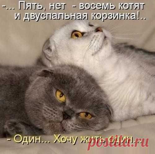 Мой Мир@Mail.Ru