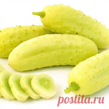 Огурцы «Соль и перец» (Salt and Pepper)