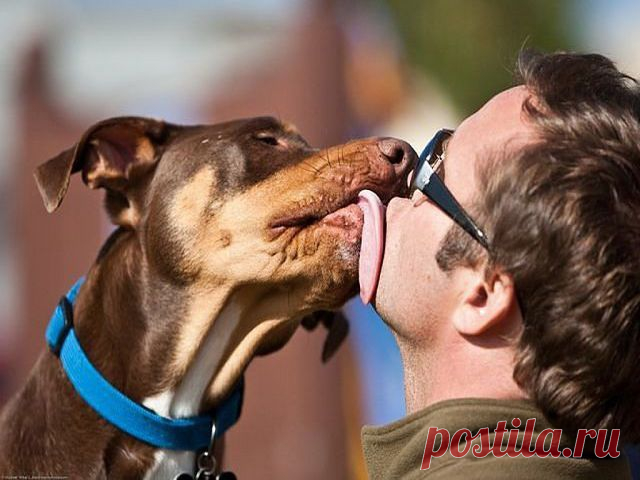 getImage (изображение «JPEG», 640 × 480 пикселов)
