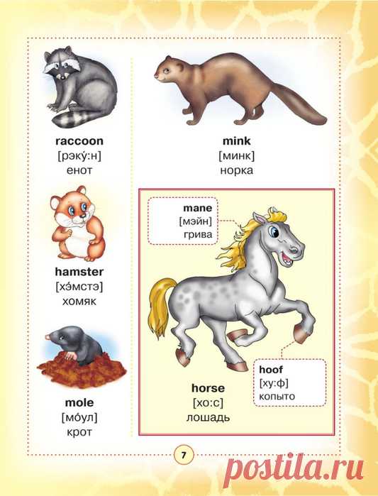 Английский язык - Визуальный словарь для самых начинающих!