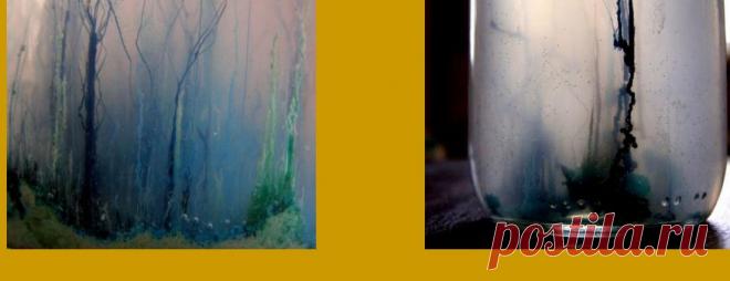 Химические водоросли (коллоидный сад)