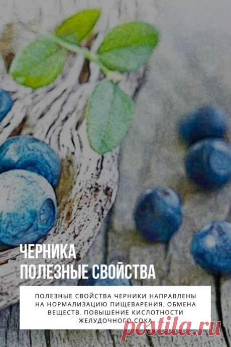 Черника обыкновенная или черника миролистная (лат. Vaccinium myrtillus) – представляет собой низкорослый многолетний кустарник семейства Вересковые. Другие его названия – черница, чернега, чернишник, черничник и др. Плоды и листья растения обладают богатым химическим составом, применяются в лечении и профилактики различных заболеваний. Фармацевтическая промышленость использует чернику для изготовления лекарственных препаратов и БАДов.