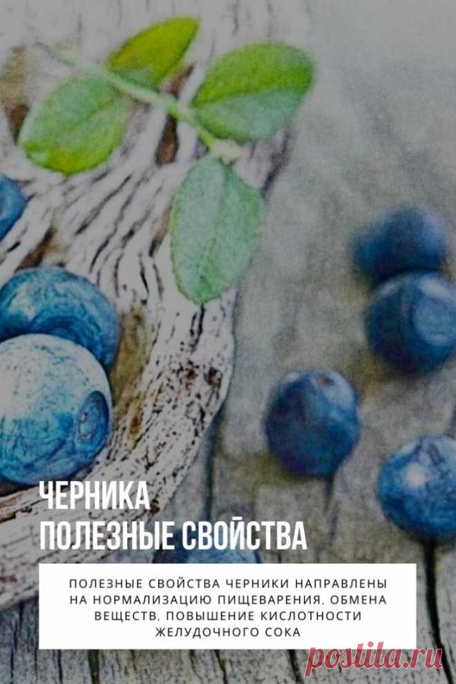 Черника обыкновенная или черника миролистная (лат. Vaccinium myrtillus) – представляет собой низкорослый многолетний кустарник семейства Вересковые. Другие его названия – черница, чернега, чернишник, черничник и др. Плоды и листья растения обладают богатым химическим составом, применяются в лечении и профилактики различных заболеваний. Фармацевтическая промышленость использует чернику для изготовления лекарственных препаратов и БАДов.