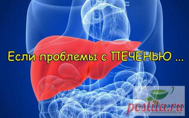 Типичные жалобы при заболеваниях печени: как больной орган «жалуется» нам При болезнях печени независимо от причины заболевания появляются следующие типичные жалобы (симптомы).

Кожный зуд
Причиной кожного зуда является нарушение обезвреживающей и выделительной функции пече…