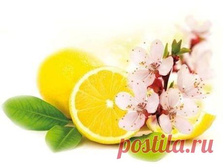 Основные свойства ароматических масел