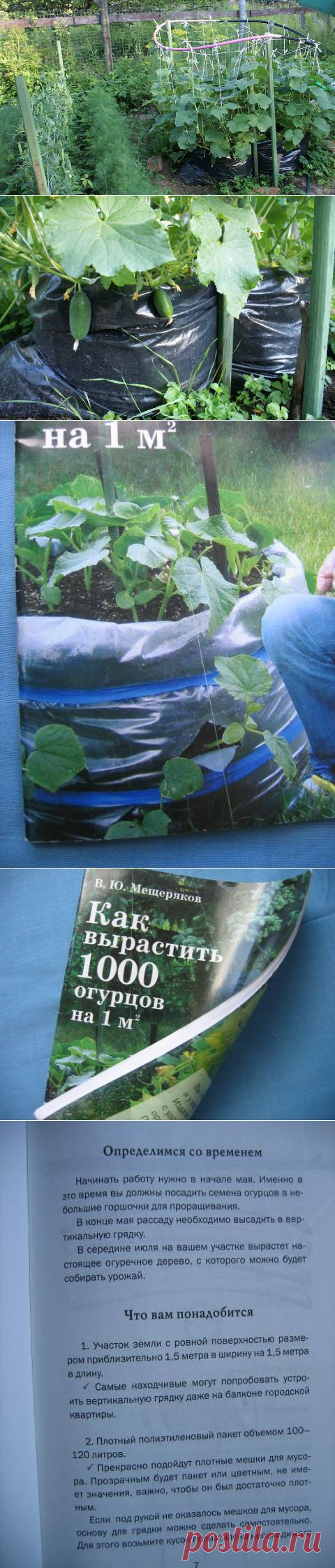 Огурцы из мешка | Огород без хлопот