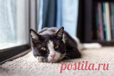 МАГИЧЕСКИЕ РИТУАЛЫ В ДЕНЬ РОЖДЕНИЯ ДЛЯ ИСПОЛНЕНИЯ ЖЕЛАНИЙ - ПРАКТИЧЕСКАЯ МАГИЯ