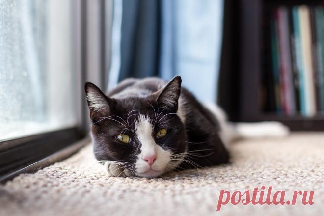 МАГИЧЕСКИЕ РИТУАЛЫ В ДЕНЬ РОЖДЕНИЯ ДЛЯ ИСПОЛНЕНИЯ ЖЕЛАНИЙ - ПРАКТИЧЕСКАЯ МАГИЯ