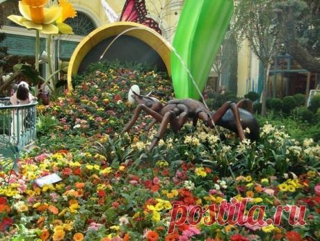 Прекрасные сады Белладжио. - Путешествуем вместе