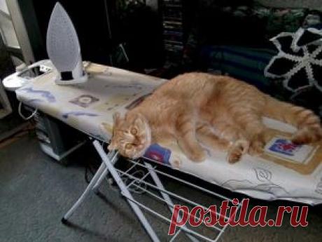 Идеи для хранения гладильной доски. Или 10 мест, где можно спрятать гладильную доску | Журнал Ярмарки Мастеров Идеи для хранения гладильной доски. Или 10 мест, где можно спрятать гладильную доску: – Журнал Ярмарки Мастеров о рукоделии, творчестве, дизайне. ✓Читай! ✓Узнавай! ✓Делись!