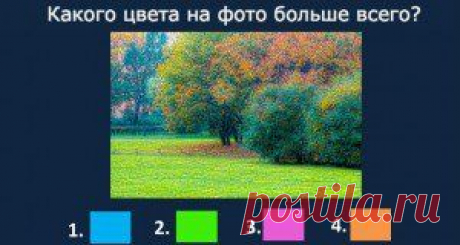 Единственный способ выяснить, реалист Вы, идеалист или сюрреалист | VKonfetke.ru