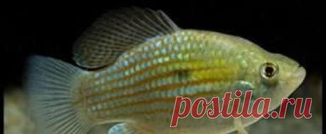 Мирный - Part 3