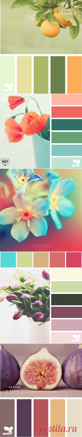 (953) Pinterest