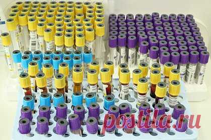 У 19 подростков из Тюмени выявили опасные венерические инфекции. Опасные половые инфекции были выявлены почти у двух десятков детей из Тюменской области. Согласно статистическим данным за 11 месяцев 2023 года, у 12 подростков обнаружили сифилис, а у 7 — гонорею. Основная доля заболевших гонореей приходится на Тюмень, а пациентов с сифилисом — на Тюмень и Тюменский район.