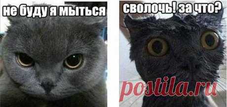 Интересные новости