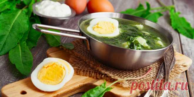 Что приготовить из щавеля: 11 вкусных блюд с пикантной кислинкой.
