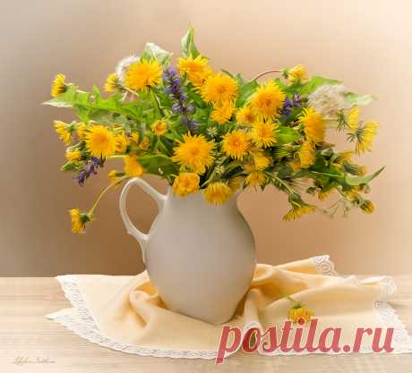 Фотонатюрморты Светланы Лебедевой