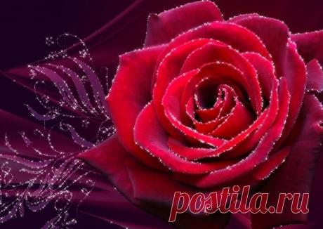 Если вы в поиске работы,обращайтесь!!!