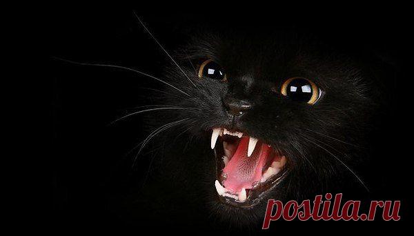 Интересные новости