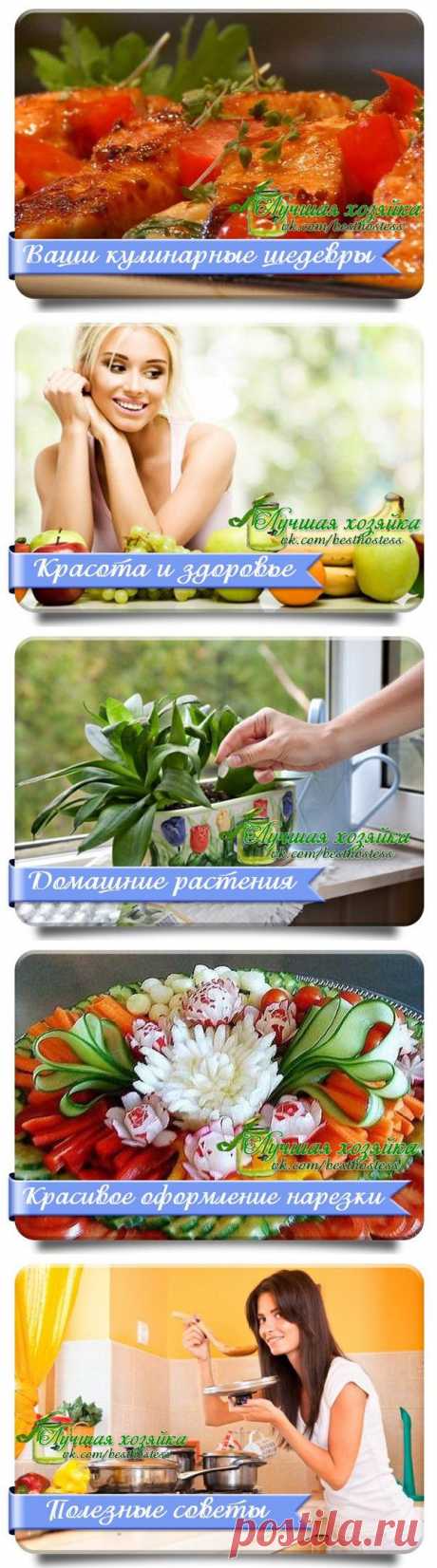 Интересные разделы
